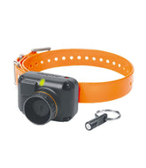 Dogtra STB Beeper Collar | L.L.Bean on sale
